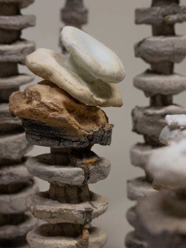 Detalj rada Rast / Growth (2024), ravno staklo, pâte de verre; rad Mete Mramor || fotografija: Eleonora Radke, ljubaznošću Mete Mramor