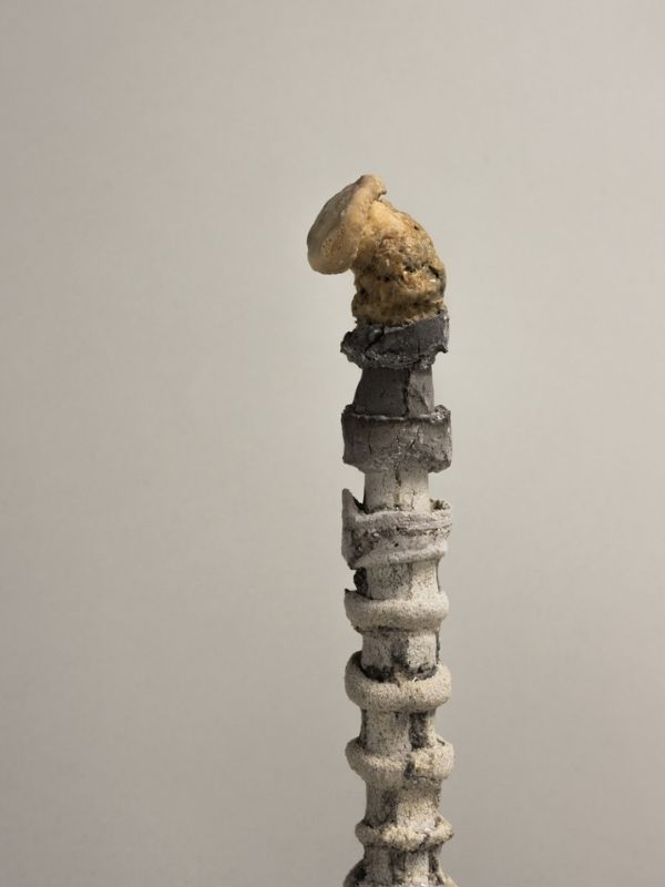 Deo instalacije Rast / Growth (2024), ravno staklo, pâte de verre; rad Mete Mramor || fotografija: Eleonora Radke, ljubaznošću Mete Mramor